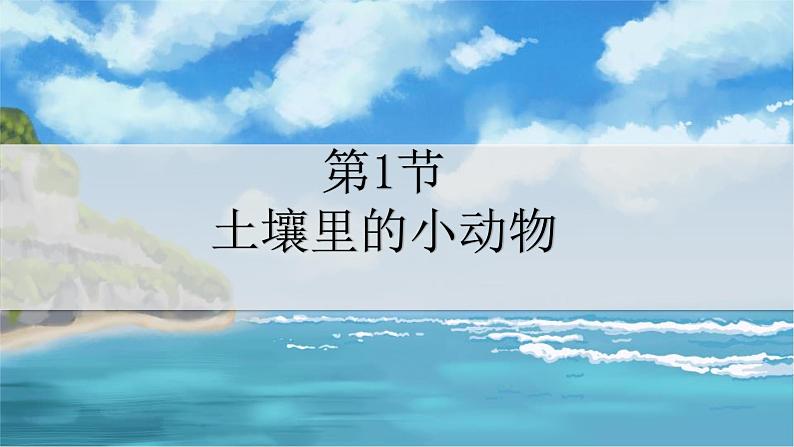 七下生物(苏科版)13.1 土壤里的小动物 PPT课件+教案01