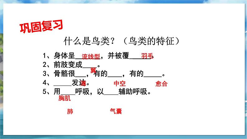 七下生物(苏科版)13.1 土壤里的小动物 PPT课件+教案02