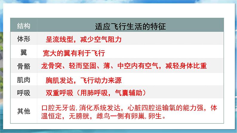 七下生物(苏科版)13.1 土壤里的小动物 PPT课件+教案03