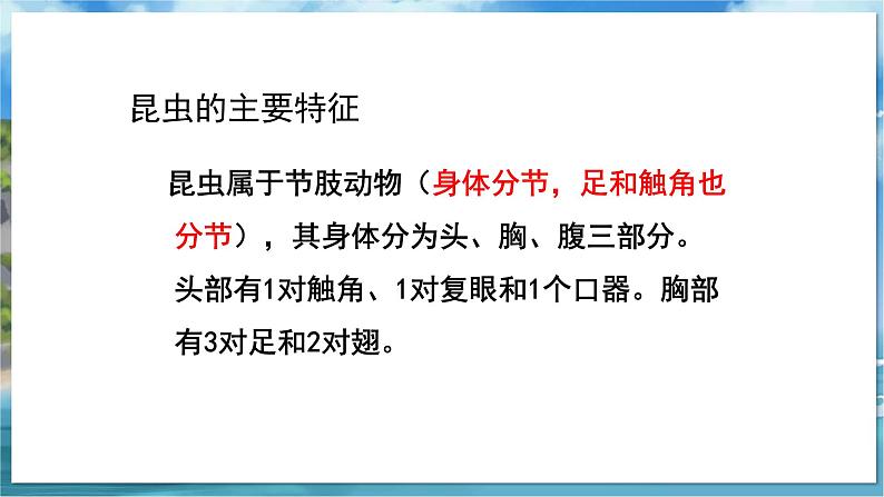 七下生物(苏科版)13.1 土壤里的小动物 PPT课件+教案04