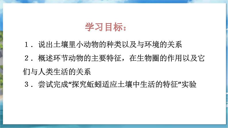 七下生物(苏科版)13.1 土壤里的小动物 PPT课件+教案05