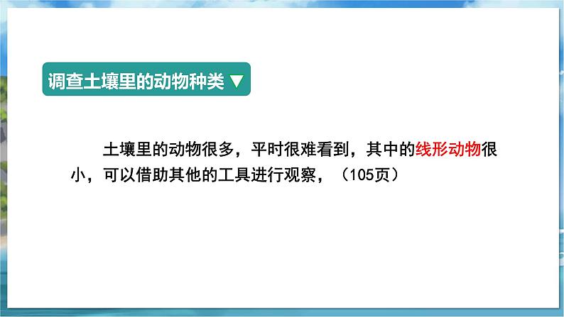 七下生物(苏科版)13.1 土壤里的小动物 PPT课件+教案06