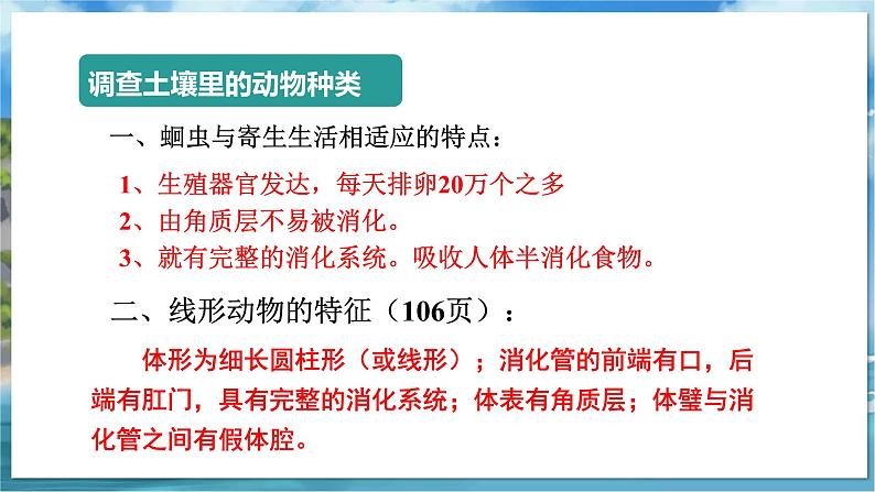 七下生物(苏科版)13.1 土壤里的小动物 PPT课件+教案08