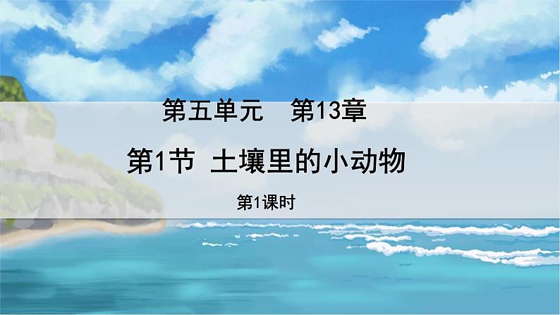 七下生物(苏科版)13.2 土壤里的微生物 第1课时 PPT课件+教案01