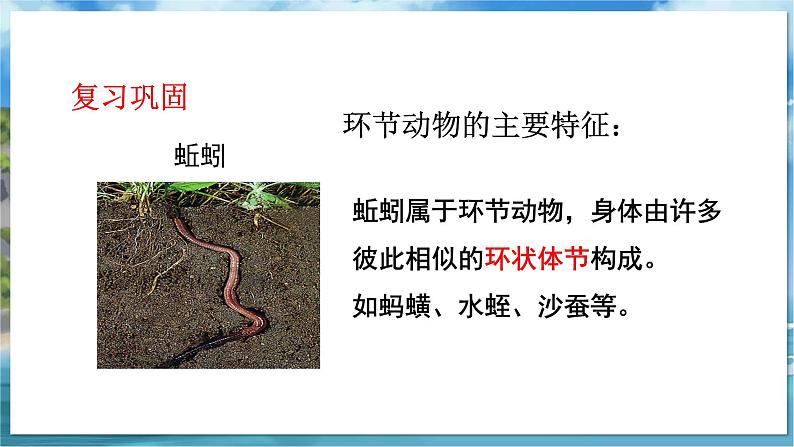 七下生物(苏科版)13.2 土壤里的微生物 第1课时 PPT课件+教案02