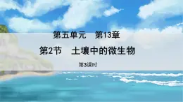 七下生物（苏科版）13.2 土壤里的微生物 第3课时 PPT课件