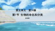 初中生物苏科版七年级下册第5单元 环境中生物的多样性第14章 生物的命名和分类第1节 生物的命名和分类课文配套课件ppt