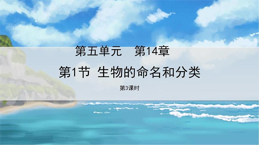 七下生物（蘇科版）14.1 生物的命名和分類 第3課時(shí) PPT課件第1頁
