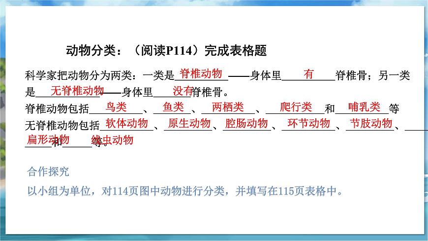 七下生物（蘇科版）14.1 生物的命名和分類 第3課時(shí) PPT課件第7頁