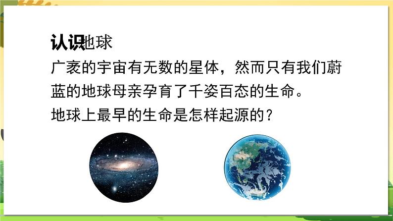 教学同步课件八下生物(苏科版)23.1 生命的起源第5页