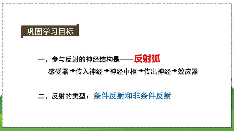 16.2 人体对信息的感知(第1课时)(八年级生物上苏科版教学课件)02