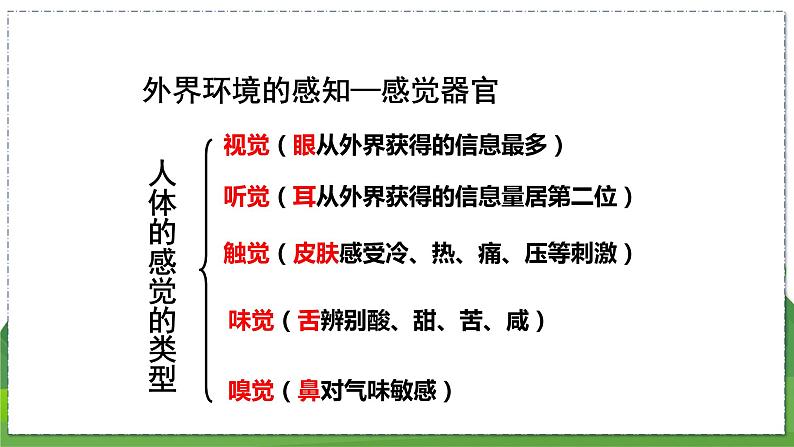16.2 人体对信息的感知(第1课时)(八年级生物上苏科版教学课件)06