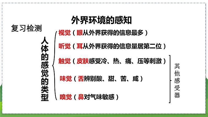 16.3 人体的激素调节(八年级生物上苏科版教学课件)第2页