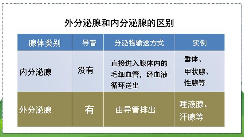 16.3 人体的激素调节(八年级生物上苏科版教学课件)第8页