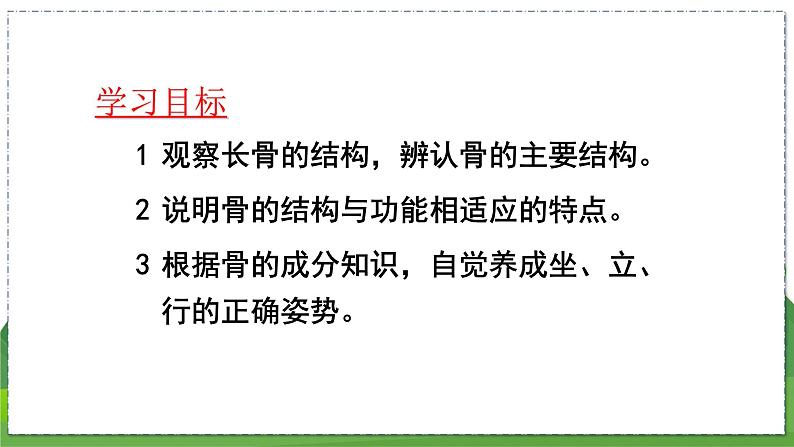 17.1 人体的运动(第1课时)(八年级生物上苏科版教学课件)04
