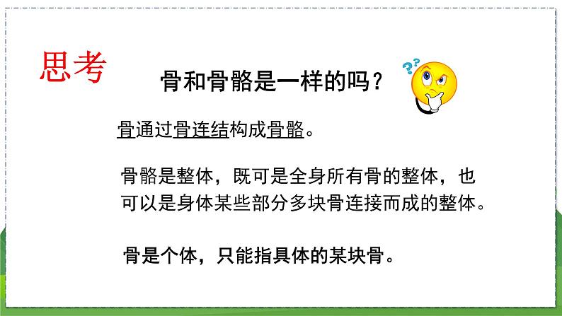 17.1 人体的运动(第1课时)(八年级生物上苏科版教学课件)08