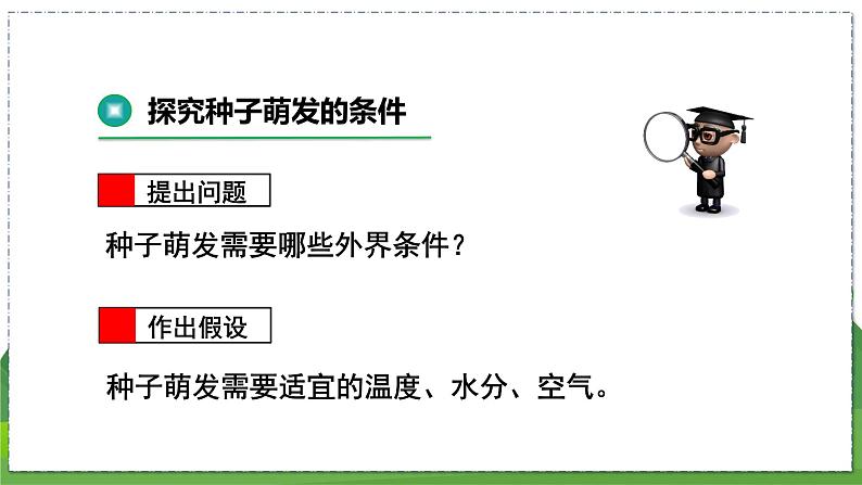 19.2 植物的生长发育(第2课时)(八年级生物上苏科版教学课件)08