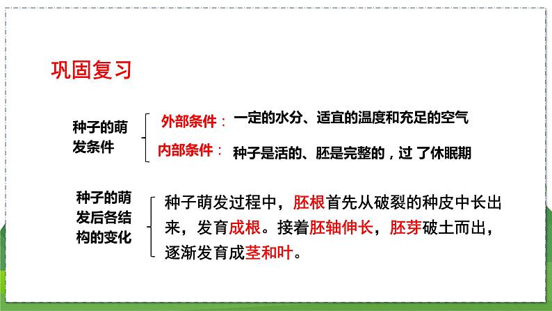 19.2 植物的生长发育(第3课时)(八年级生物上苏科版教学课件)02