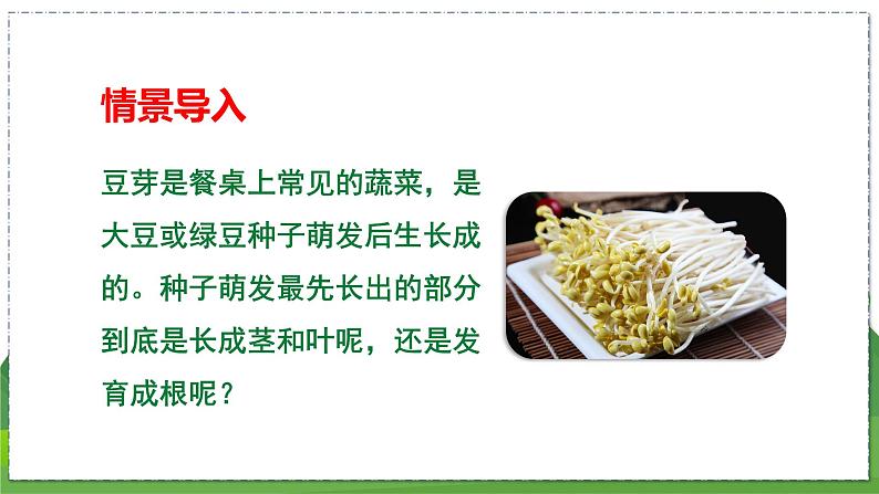 19.2 植物的生长发育(第3课时)(八年级生物上苏科版教学课件)03