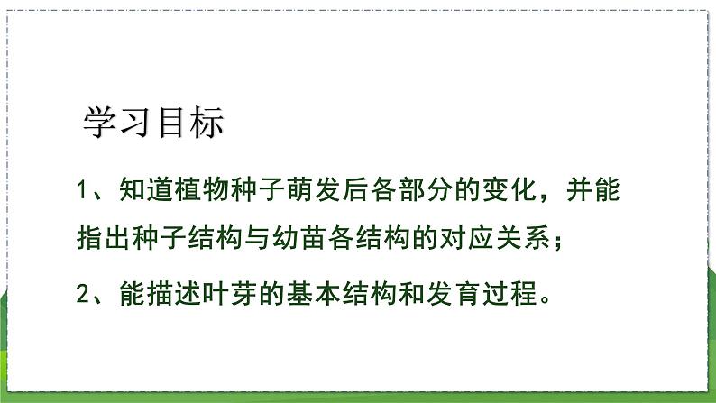 19.2 植物的生长发育(第3课时)(八年级生物上苏科版教学课件)04