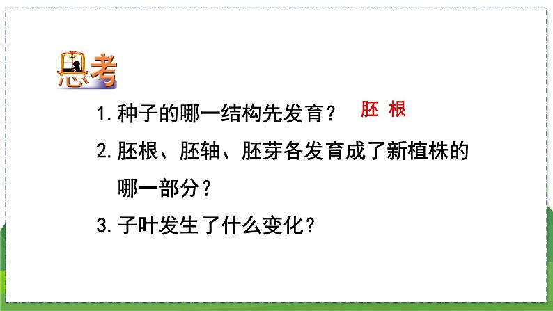 19.2 植物的生长发育(第3课时)(八年级生物上苏科版教学课件)06