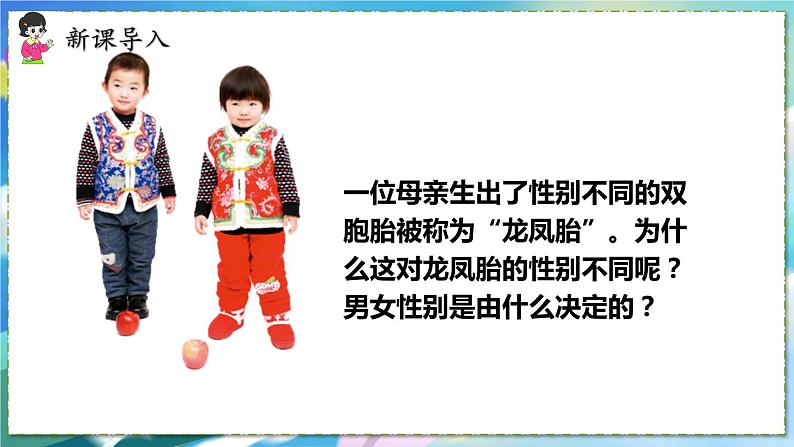 第四节 人的性别遗传第1页