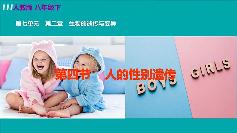 第四节 人的性别遗传第2页