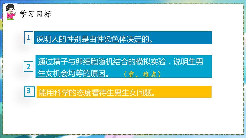 第四节 人的性别遗传第3页