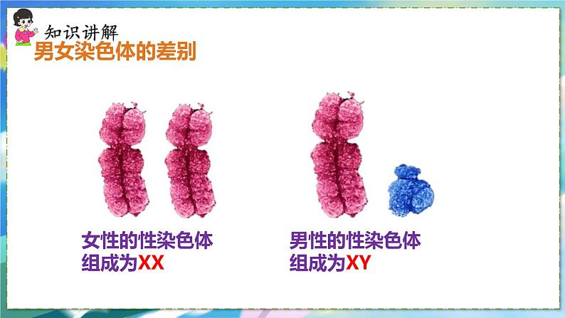 第四节 人的性别遗传第7页