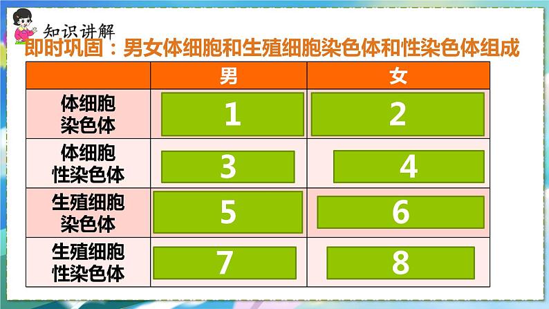 第四节 人的性别遗传第8页