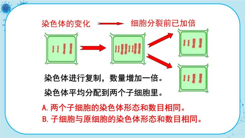 2.1 细胞（课件PPT+教案）07