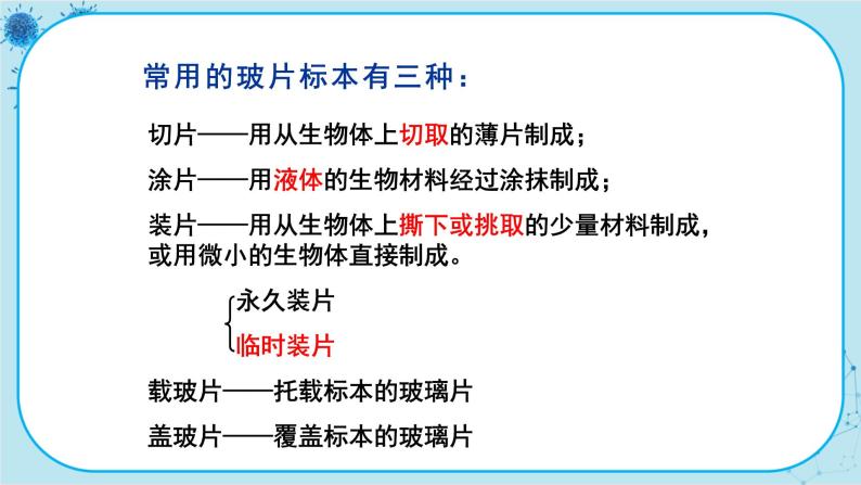 2.1 细胞（课件PPT+教案）05