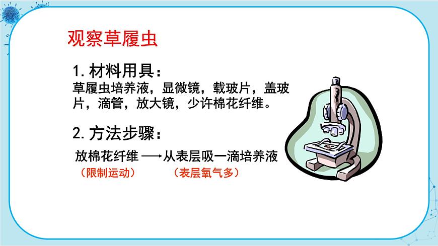 第4節(jié)   單細(xì)胞生物體第3頁