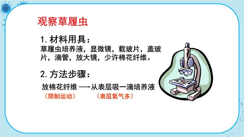 2.4 单细胞生物体（课件PPT+教案）03