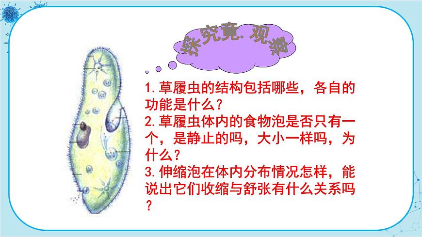 第4節(jié)   單細(xì)胞生物體第5頁