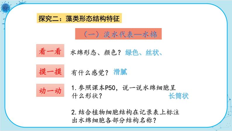 3.3 藻类植物（课件PPT+教案）06