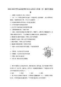 2022-2023学年山东省枣庄市台儿庄区七年级（下）期中生物试卷（含解析）