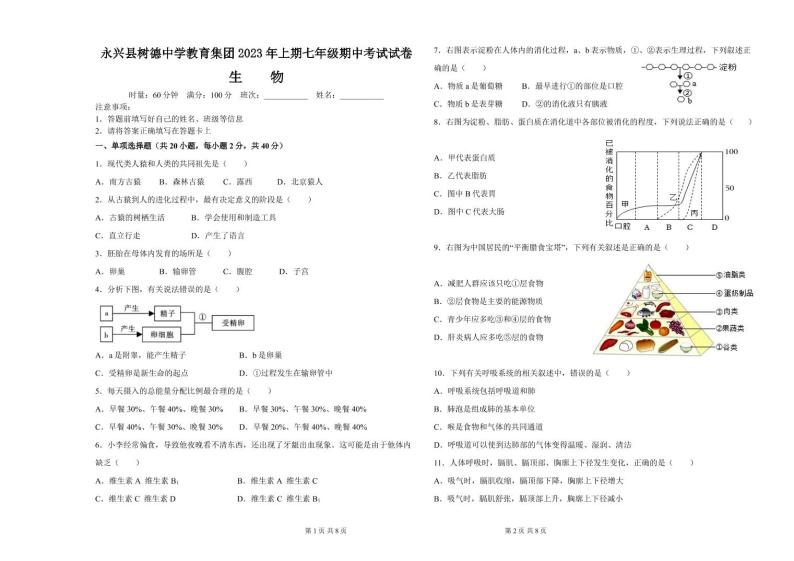 湖南省永兴县树德中学教育集团2022-2023学年七年级下学期期中生物试卷01