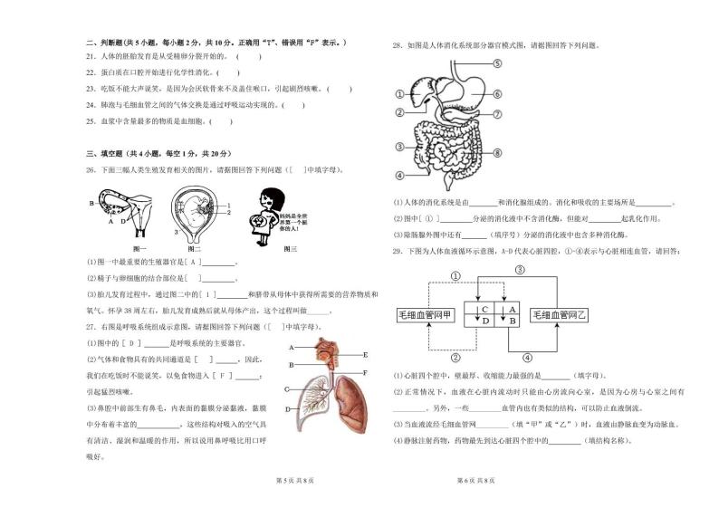 湖南省永兴县树德中学教育集团2022-2023学年七年级下学期期中生物试卷03