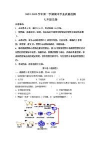 广东省深圳市2022-2023学年七年级上学期期末生物试题