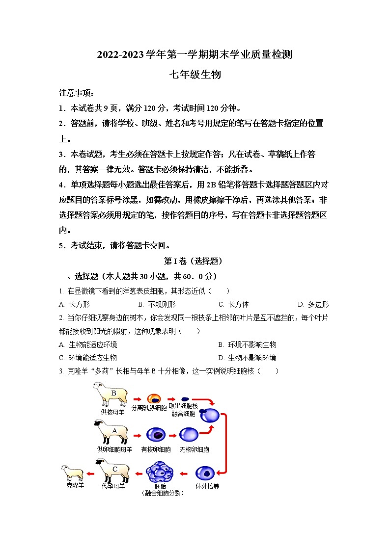 广东省深圳市2022-2023学年七年级上学期期末生物试题01