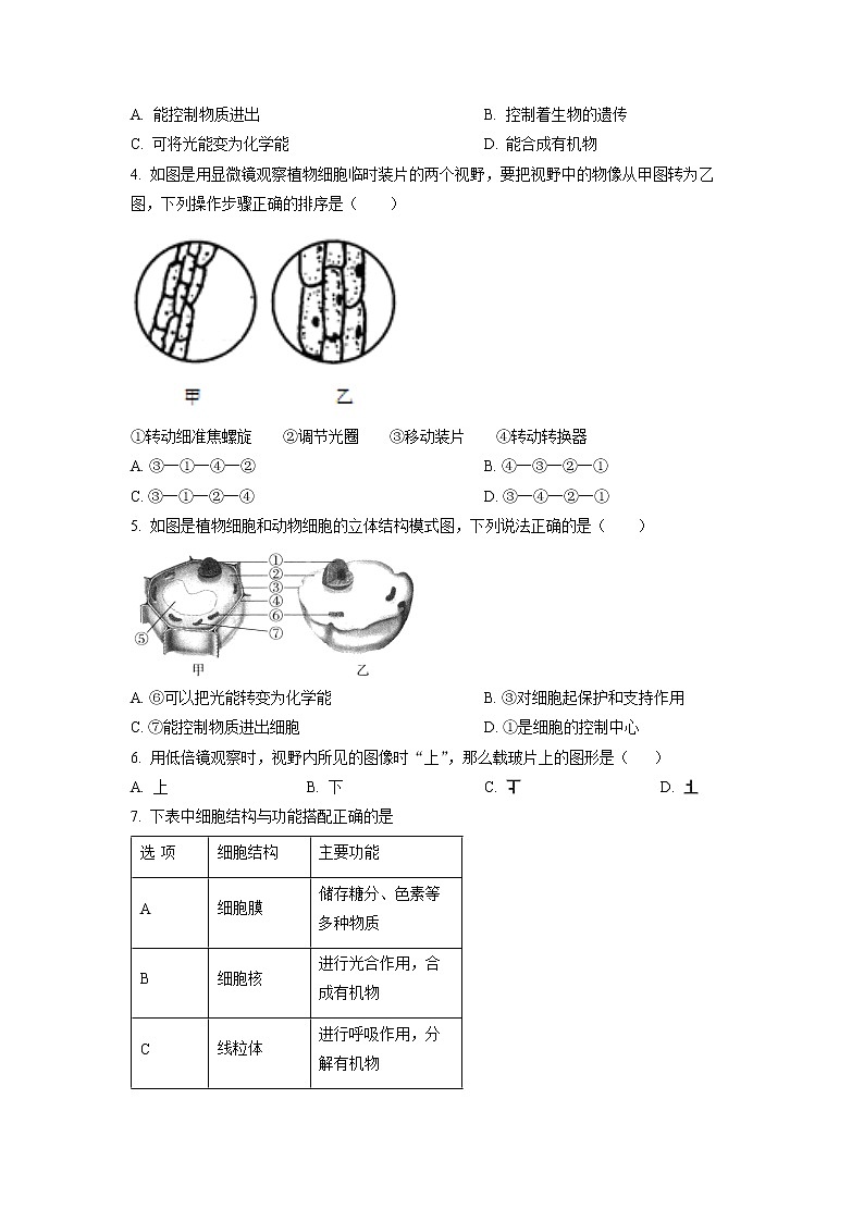 广东省深圳市2022-2023学年七年级上学期期末生物试题02