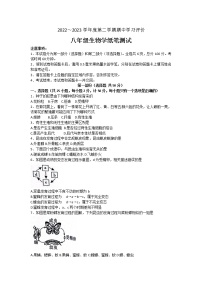 陕西省西安市长安区2022～2023学年八年级下学期期中生物试卷(含答案)
