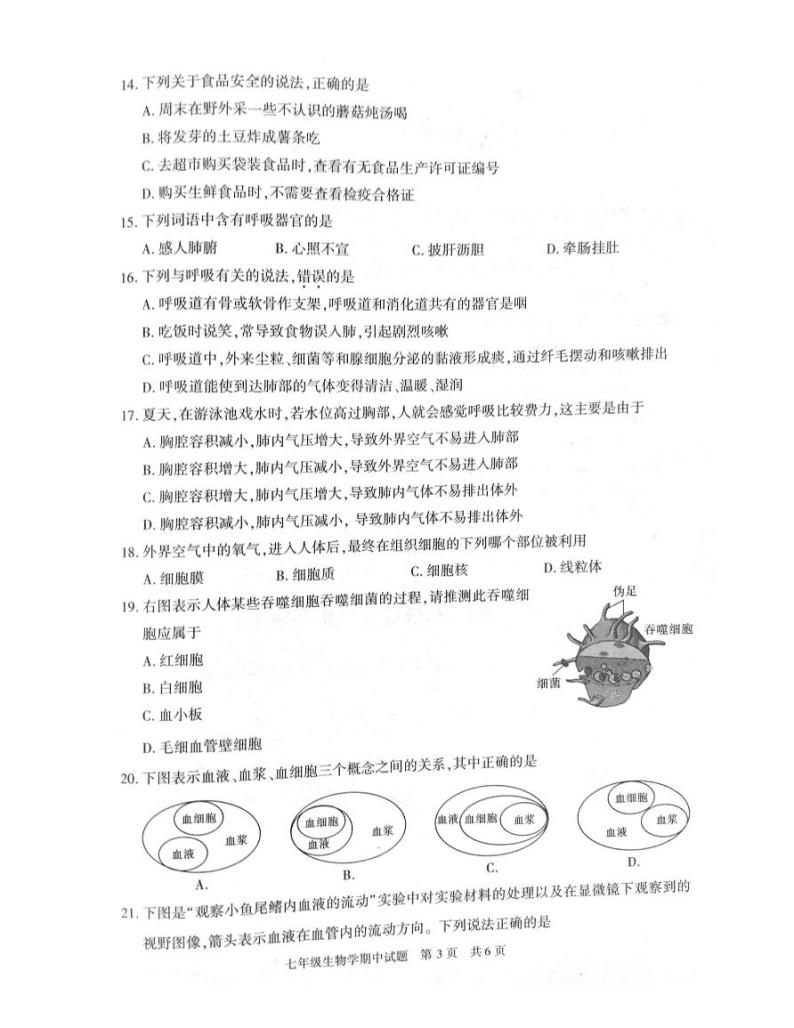 陕西省西安市长安区2022-2023学年七年级下学期期中生物试题03