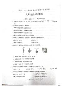 山东省泰安市宁阳县2022-2023学年六年级下学期期中考试生物试题