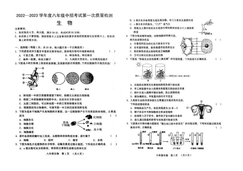 2023年河南省周口市川汇区一模生物试题01