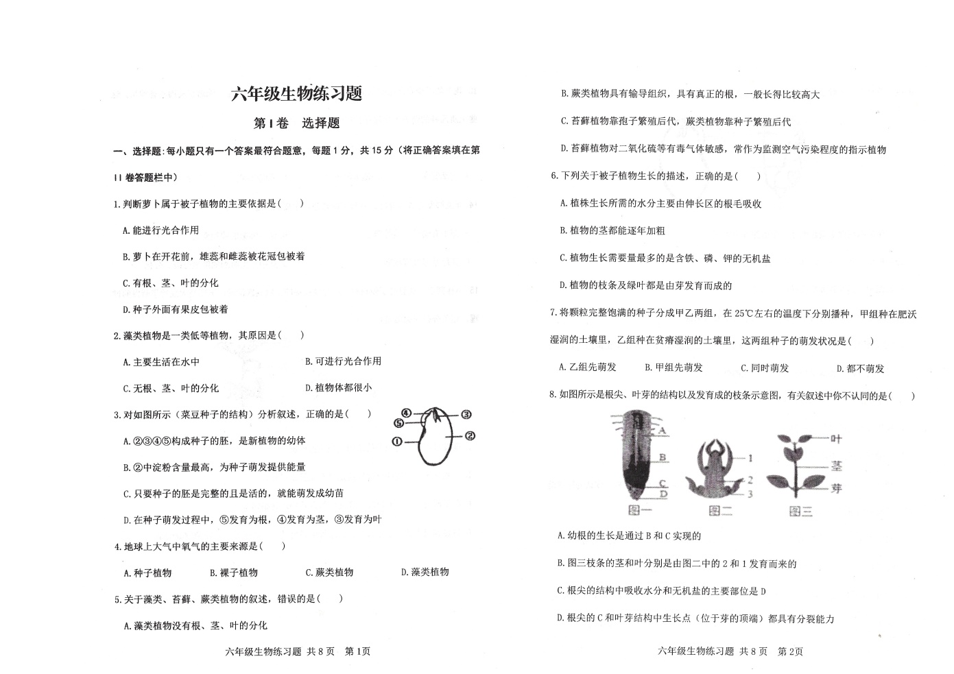 山东省泰安市岱岳区2022-2023学年六年级下学期期中生物试题