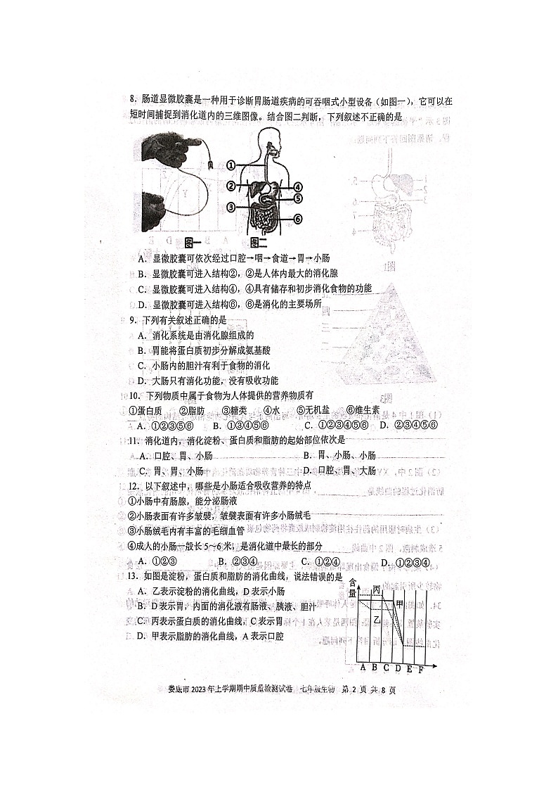 湖南省娄底市2022-2023学年七年级下学期期中生物试题第2页