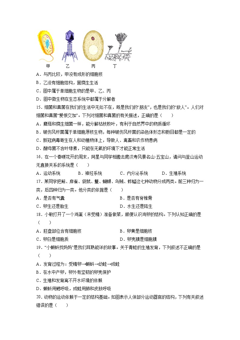 湖南省衡阳师范学院祁东附属中学2022-2023学年八年级下学期期中考试生物试题第3页