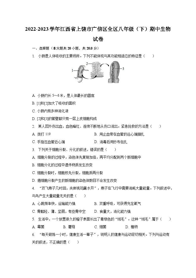 2022-2023学年江西省上饶市广信区全区八年级(下)期中生物试卷(含解析)01